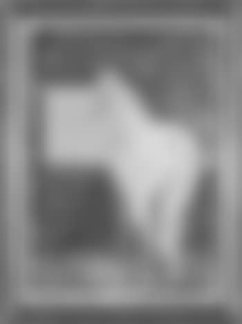 Horse looking out of stall (preview)