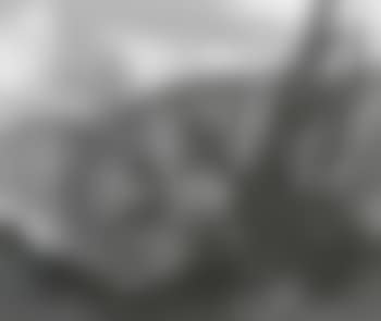 Grey and gold (preview)