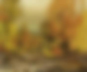 Autumn on Redstone River (preview)