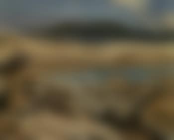 Driftwood, Lake Superior (preview)