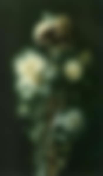 Thistledown (preview)