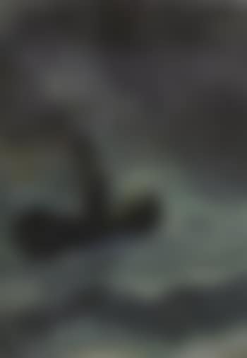 Small steamship (preview)