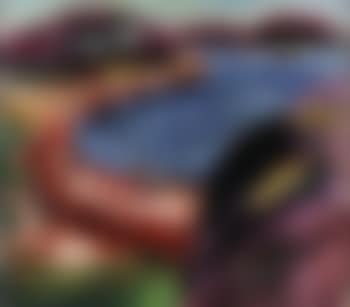 Flowers on the shore, Koster (preview)