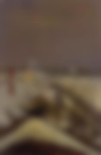 View out of window - blackbird and snowy landscape (preview)