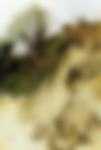 Steep slope with bushes (preview)