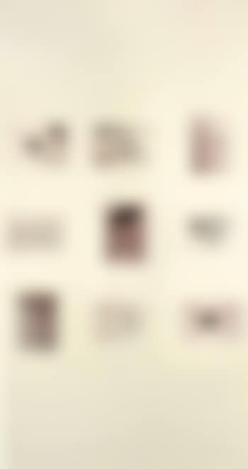 Untitled - photographs and cartoon (preview)