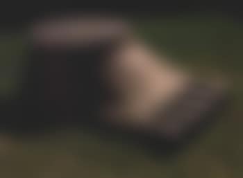 Foot (preview)