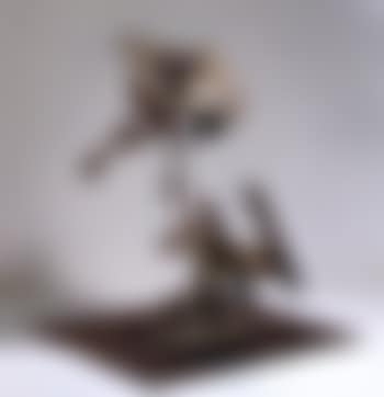 Lickflap (preview)