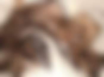 Thickness of time (preview)
