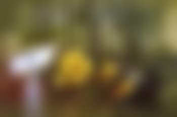 Forest sign post (preview)