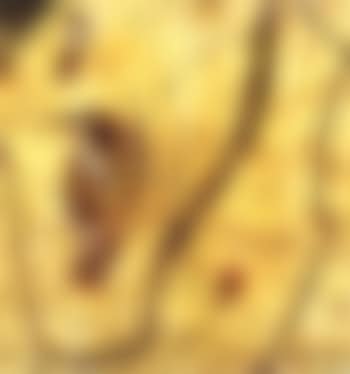Landscape with birds (preview)