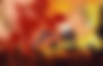 Cats eye view of garden (preview)
