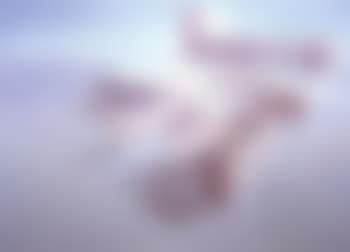 Untitled (preview)