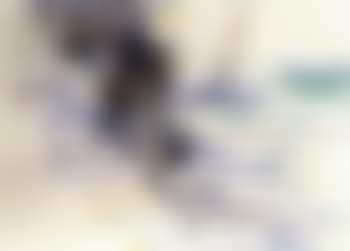 Squid (preview)