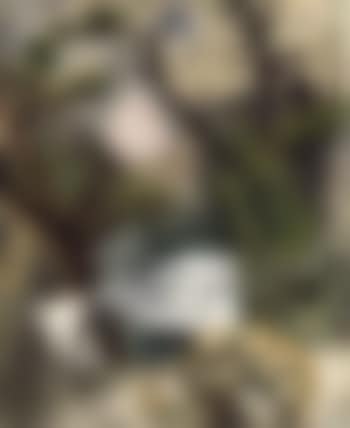 Montmartre avec du vent (preview)