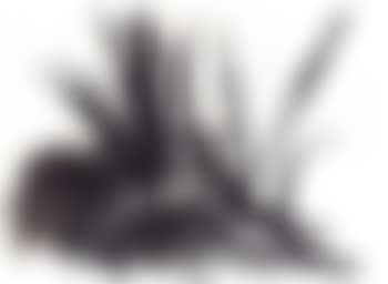 Composition (preview)