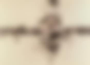 Untitled (preview)