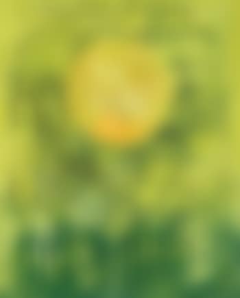 Soleil jaune (preview)