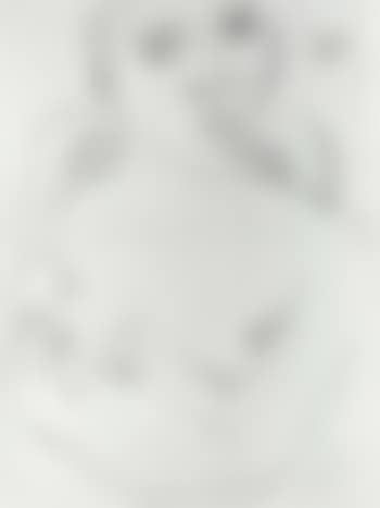 Female partial nude (preview)