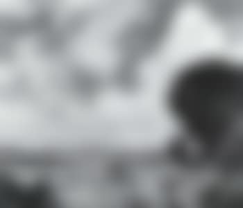 Lower Rhine landscape (preview)