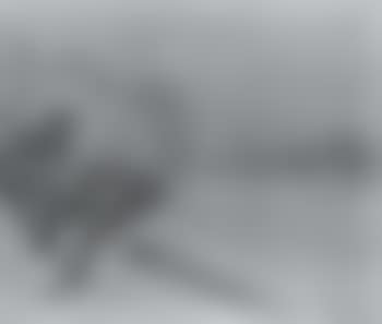 Winter on the Erft (preview)