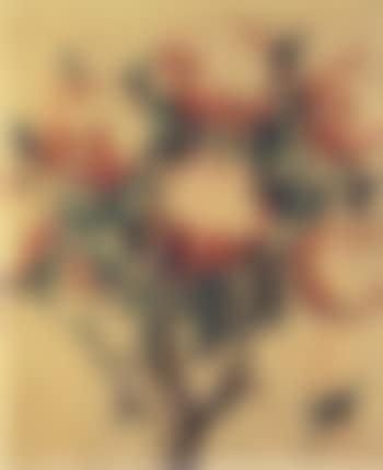 Magnolias (preview)