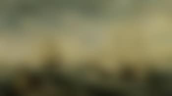 Three sailing vessels in brisk wind near coast (preview)