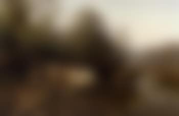 Cattle watering (preview)