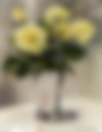 Yellow roses in silver vase (preview)