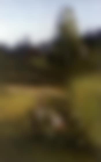 Mother and child in flower meadow (preview)