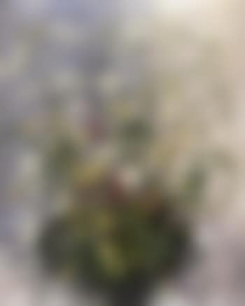Meadow flowers (preview)