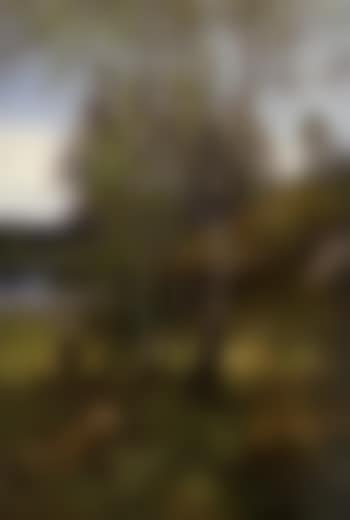 Wooded landscape with hunter (preview)