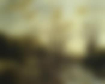 Winter wooded landscape (preview)