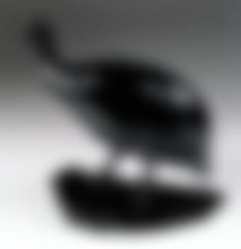 Pintade marchant (preview)