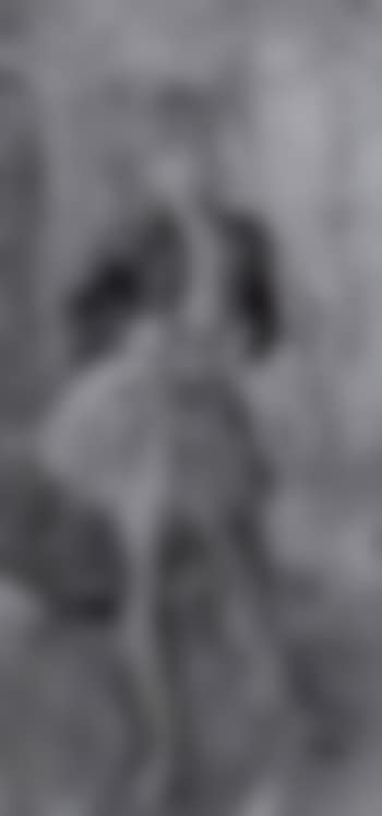 Ballerine devant un paravent (preview)