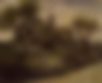 Church behind trees (preview)