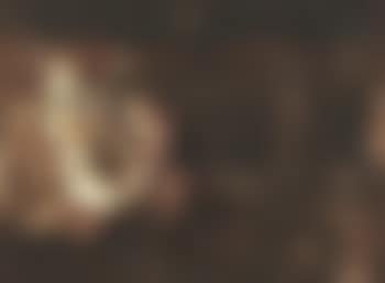 The alchimist (preview)