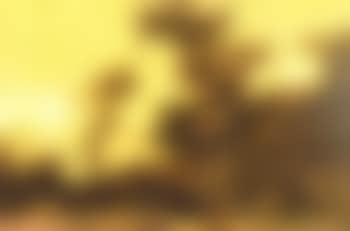 Herdsman, cattle and sheep in extensive wooded river landscape (preview)