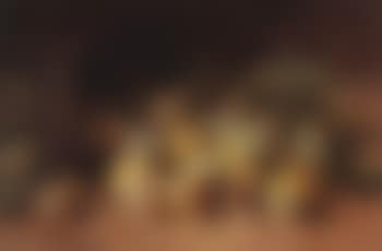 Nature morte aux prunes (preview)
