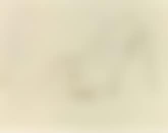 Nude (preview)