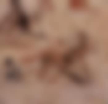 Lazy morning. Landscape (preview)
