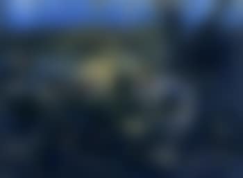 Waterbirds (preview)
