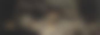 Nature morte (preview)
