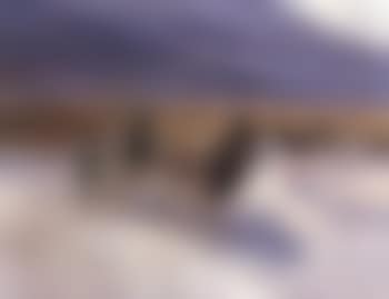 Skijoring (preview)
