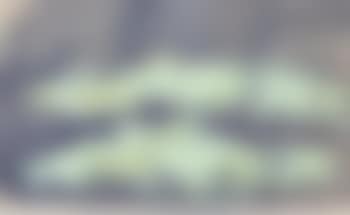 Composition (preview)