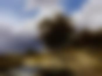 Extensive landscape, traveller on path (preview)