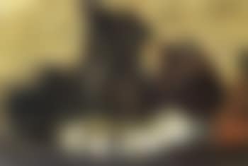 Still life (preview)