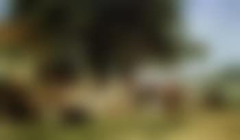 Villagers dancing under large tree with many figures (preview)