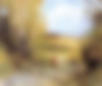 Le chemin de campagne (preview)