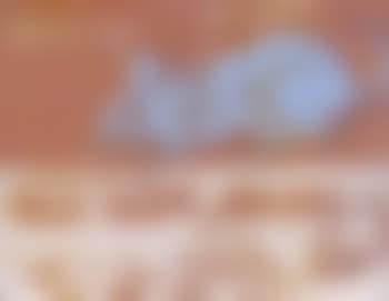 Mouse (preview)